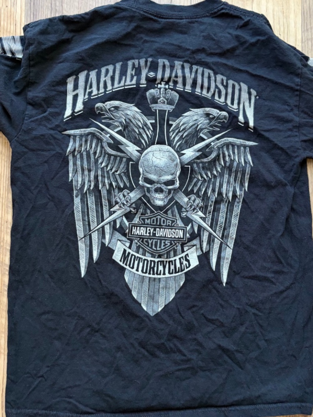 Harley-Davidson Men's Skull Lightning Crest Graphic Long Sleeve Shirt